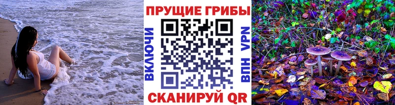 продажа наркотиков  Ворсма  Псилоцибиновые грибы MAGIC MUSHROOMS 